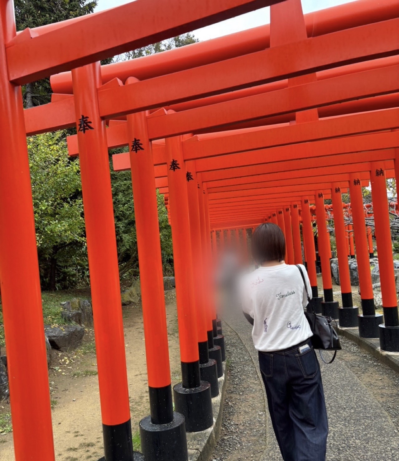 blog_file